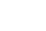 Logo Intelreplacement