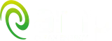 Logo AMP